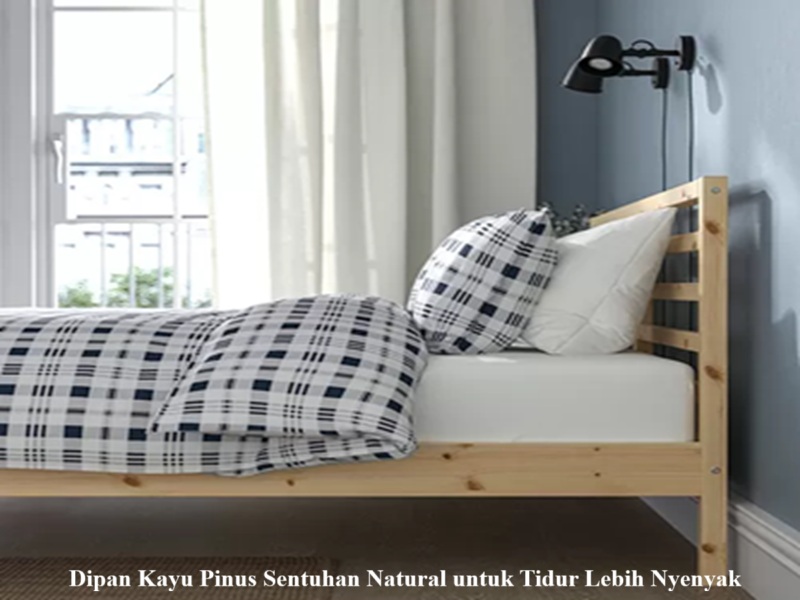 Dipan Kayu Pinus